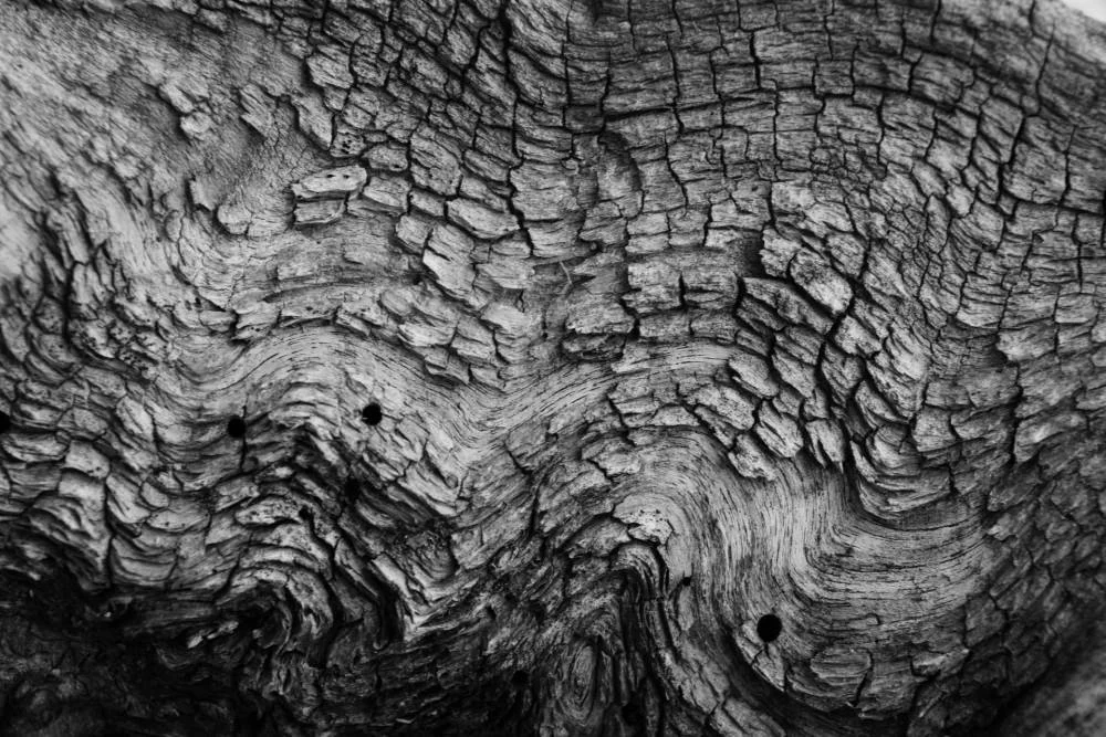 Dragon skin