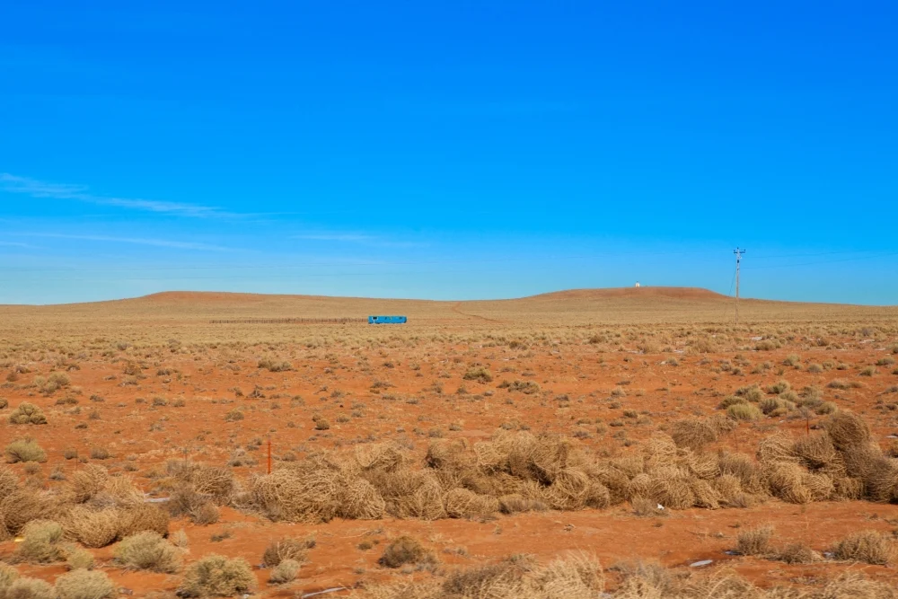 Desert Living Desert Living