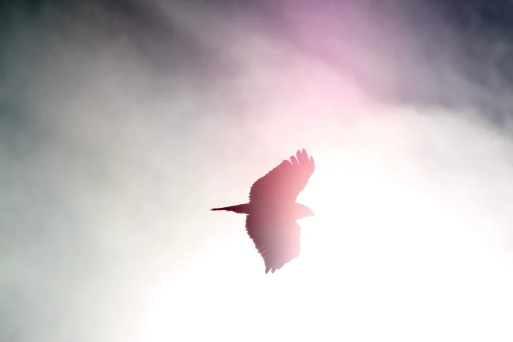 Spirit