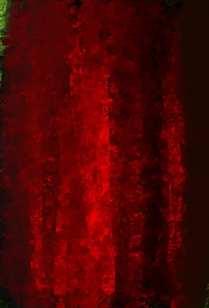 In The Forest Of Love