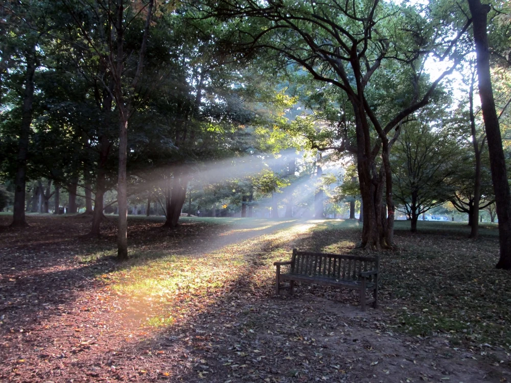 Light