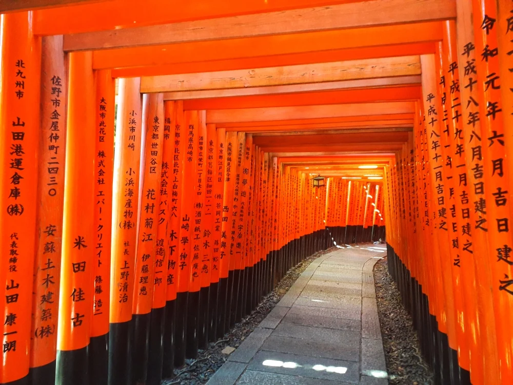 Pathway to devotion