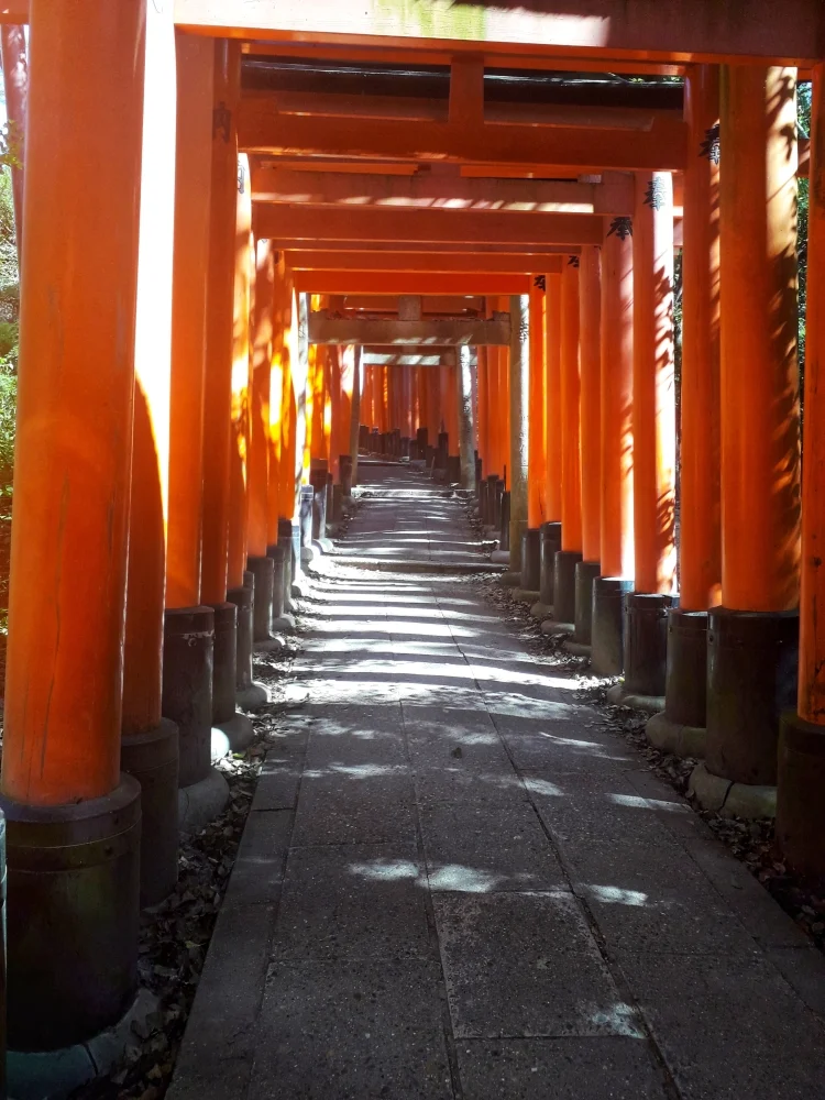 shadow path